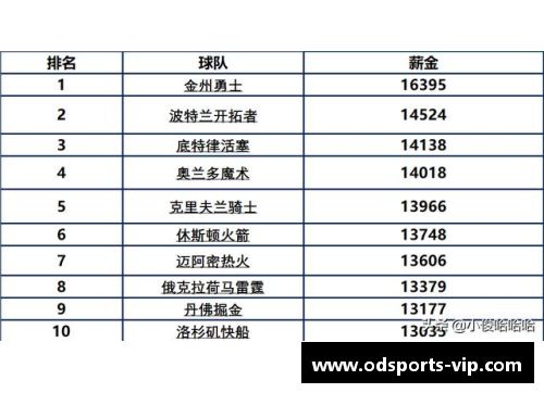 骑士队薪水排名及球员表现分析