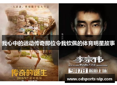 我心中的运动传奇那位令我钦佩的体育明星故事