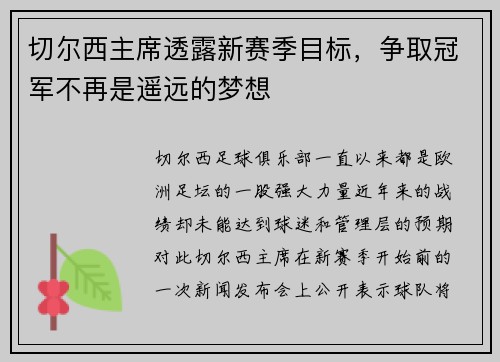 切尔西主席透露新赛季目标，争取冠军不再是遥远的梦想
